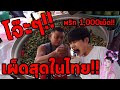 ปอนด์มาลองโจ๊ะๆแล้วครับทุกคน........พริก1,000เม็ด!!ไอ้งามไส้!! l pondsme