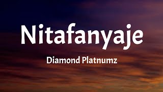 Diamond Platnumz - Nitafanyaje (Lyrics)