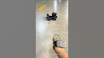 Hand Gesture Controlled Dog Robot Toy