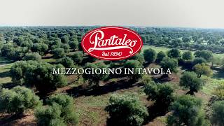 Pantaleo - Ripartiamo Da Te