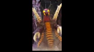 Cambuk Ultraman Vs Gomora