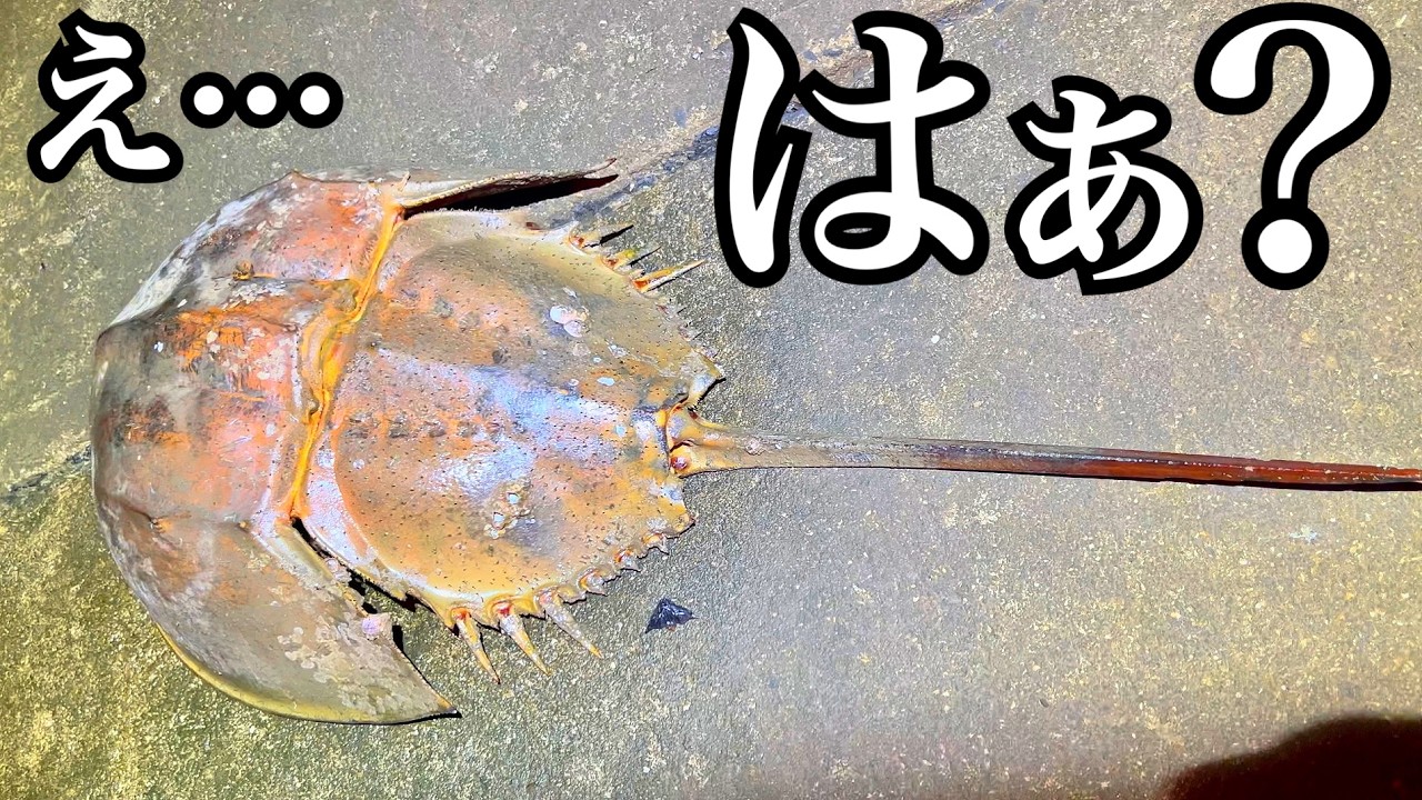 ブルーギルを海に落とすと巨大生物が…？！