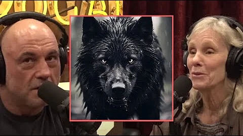 Are super wolves real?! how wolves travel across america! JRE #2213 Diane K. Boyd
