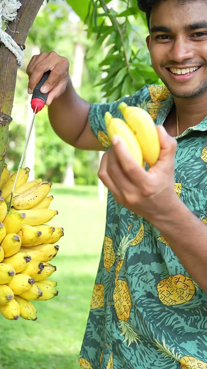 Banana Fritters | Wild Cookbook