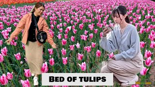 My Birthday gifts || Tulips park Mother’s Day date with Bebe