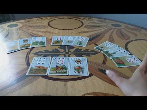 რა მელის ჩაფიქრებულ ადამიანთან. მესამე ვარიანტი.