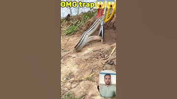Omg diy snake trap using scissor #viralvideo #viralshorts #snaketrap