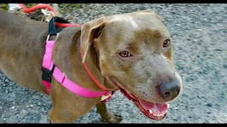 FOHA Buddies - 8/3/2022