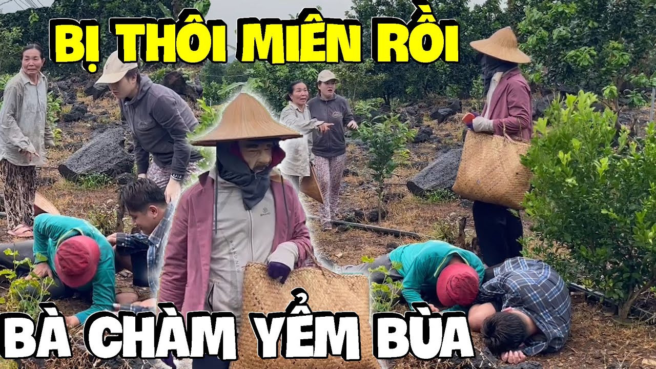 Bị Bà Chàm Bỏ Bùa Dì Hương Sợ Xanh Mặt Khi Thấy Tía Đưa Hết Của Cải Cho Bà Thầy | Hải Ka Vlogs