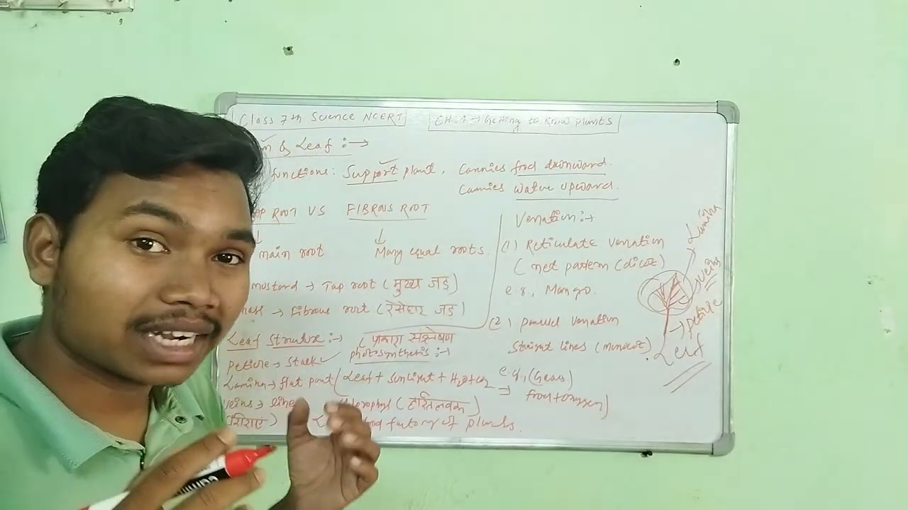 Stem and Leaf ||Plant Parts|| Class 7th Science NCERT