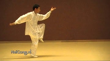 #6 Bagua (Liao) Palm Right