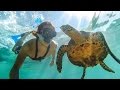 Swimmin' in Paradise ~ Lost in Madagascar