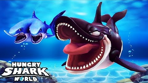 Hungry Shark World : KILLER WHALE | Gameplay Walkthrough #44