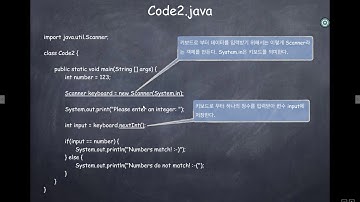 [Java로 배우는 자료구조] 제1-1장: 변수, 배열, 반복문 (2/7)