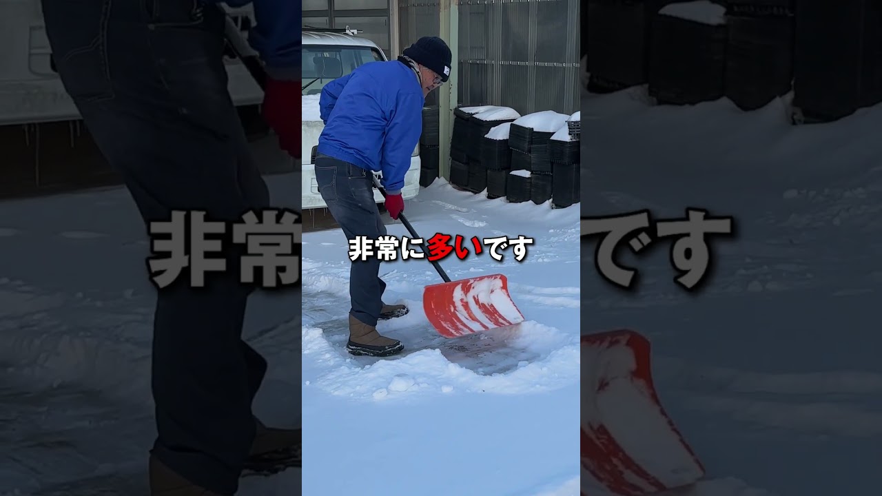 ミント味の真実#設楽町 #消滅可能性自治体 #地域おこし