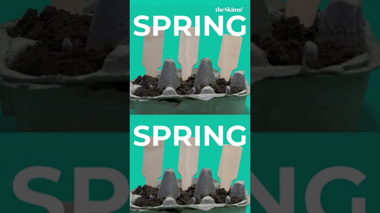 Why we vote in November