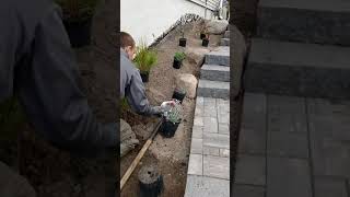 Backyard Functionality Renovation
