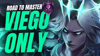 OTP VIEGO JUNGLE | Road to Master