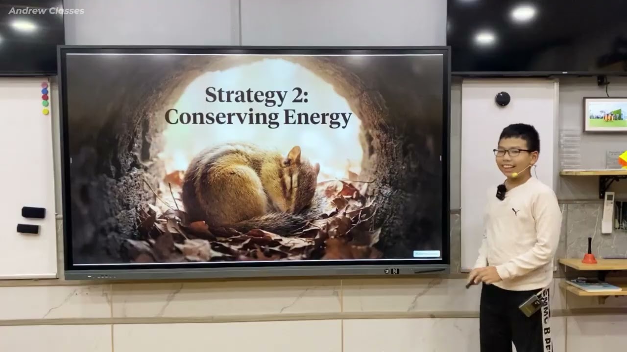 Where animals get food in winter? | B1AH/Team1: Tien - Daniel - Spider - Hoang