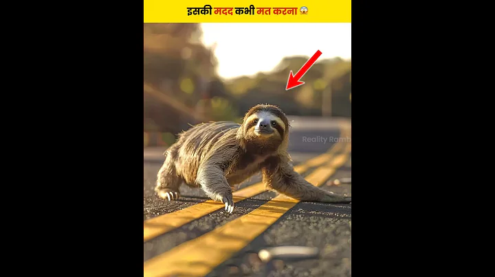 Never help a sloth🤯 #animals #shorts