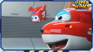 ✈[SUPERWINGS] Superwings5 Superwings SuperPets! Full Episodes Live ✈