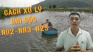 CÁCH XỬ LÝ KHÍ ĐỘC NO2-NH3-H2S HIỆU QUẢ | Nguyễn Đình Tùng Official