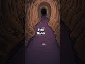 Your Body Has Underground Rivers More Complex Than Any Cave System