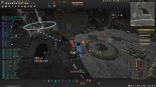 Black Desert 2026 TAMER PVP