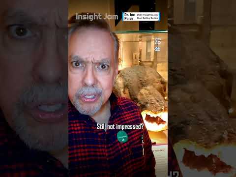 💎Unexpected Data Brilliance📊 with @DrJoePerezData