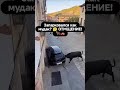 Неправильно припарковался🤣