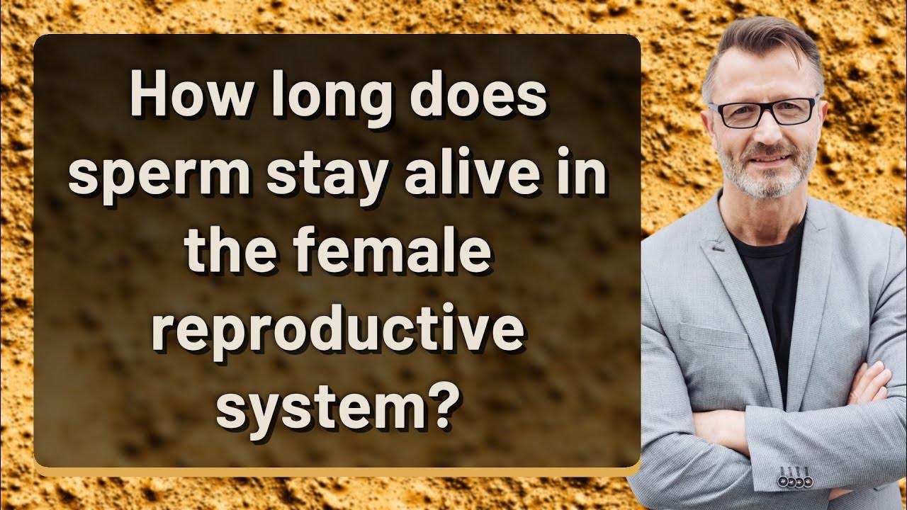 How long does sperm stay alive in the female reproductive system youtube
