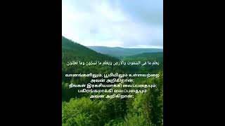 Beautifull recitation by  Abdullah al khalaf Surah Taghabun| Islamic Ways |