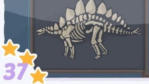 Perfect Tidy Level 37 Solution