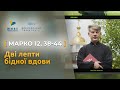 Дві лепти бідної вдови. Марко 12, 38-44 | о. Євген Станішевський