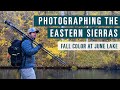 Photographing the Eastern Sierras: Fall Color at June Lake