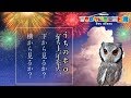 【フクロウ】うちのホロ 下から見るか?横から見るか?