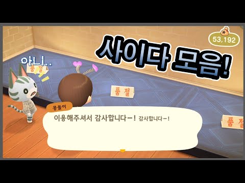 동숲 사이다 동숲 사이다