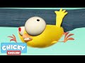 Where's Chicky? Funny Chicky 2020 | CHICKEN FAIL | Chicky Cartoon in English for Kids
