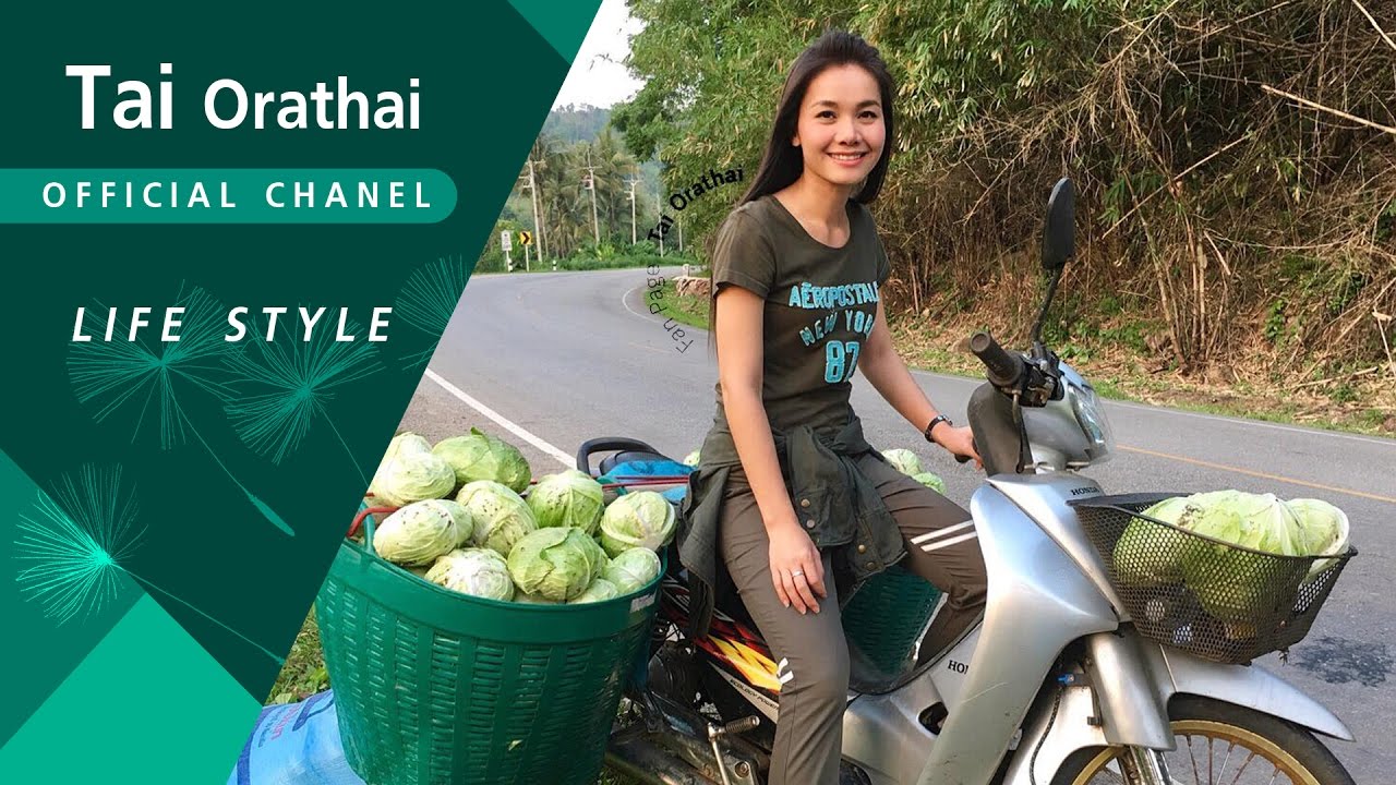 ชมสวนกะหล่ำ ยามค่ำที่ทองผาภูมิค่ะ | ต่าย อรทัย | Life style |