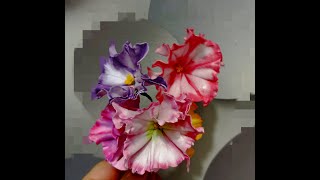 Цветы из фоамирана!!Петунья царица клумб!!!