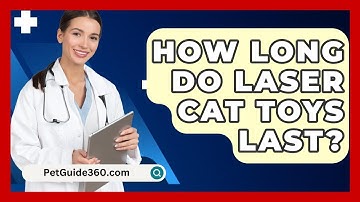 How Long Do Laser Cat Toys Last? - PetGuide360.com