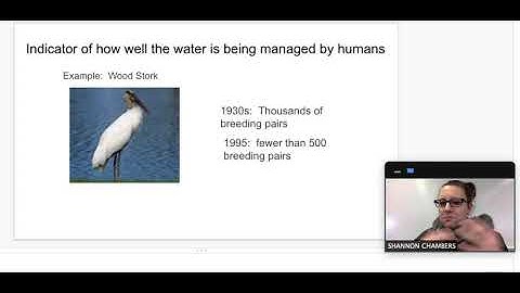 Indicator Species Video