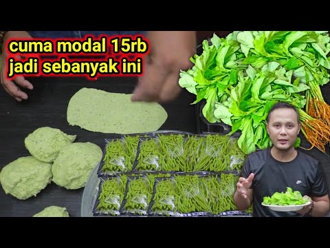 Resep STIK KEJU / CHESSE STIK (renyah dan gurih banget). 