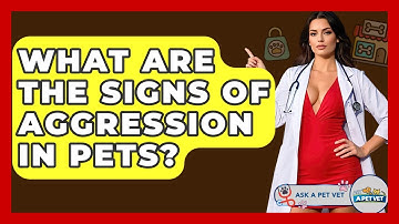 What Are The Signs Of Aggression In Pets? - Ask A Pet Vet