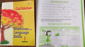 Gulmohar English Grammar and Language Skills class1