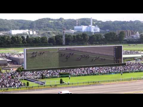 2015年 第82回 日本ダービー ドゥラメンテ優勝 ２冠達成！