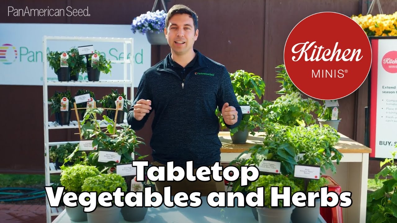No Garden? No Problem! Grow Kitchen Minis Tabletop Vegetables & Herbs