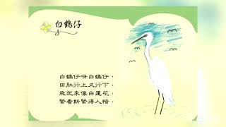 客語上課了-白鷺鷥