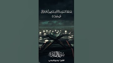 سورة المائدة | Al-Mā’idah | آية 120 | الشيخ وديع اليمني