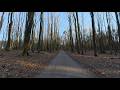 Exploring Forest Gravel Paths | Trójmiejski Park Krajobrazowy 🌿🚴‍♂️